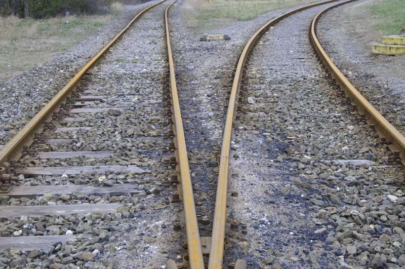 The Life of a Company