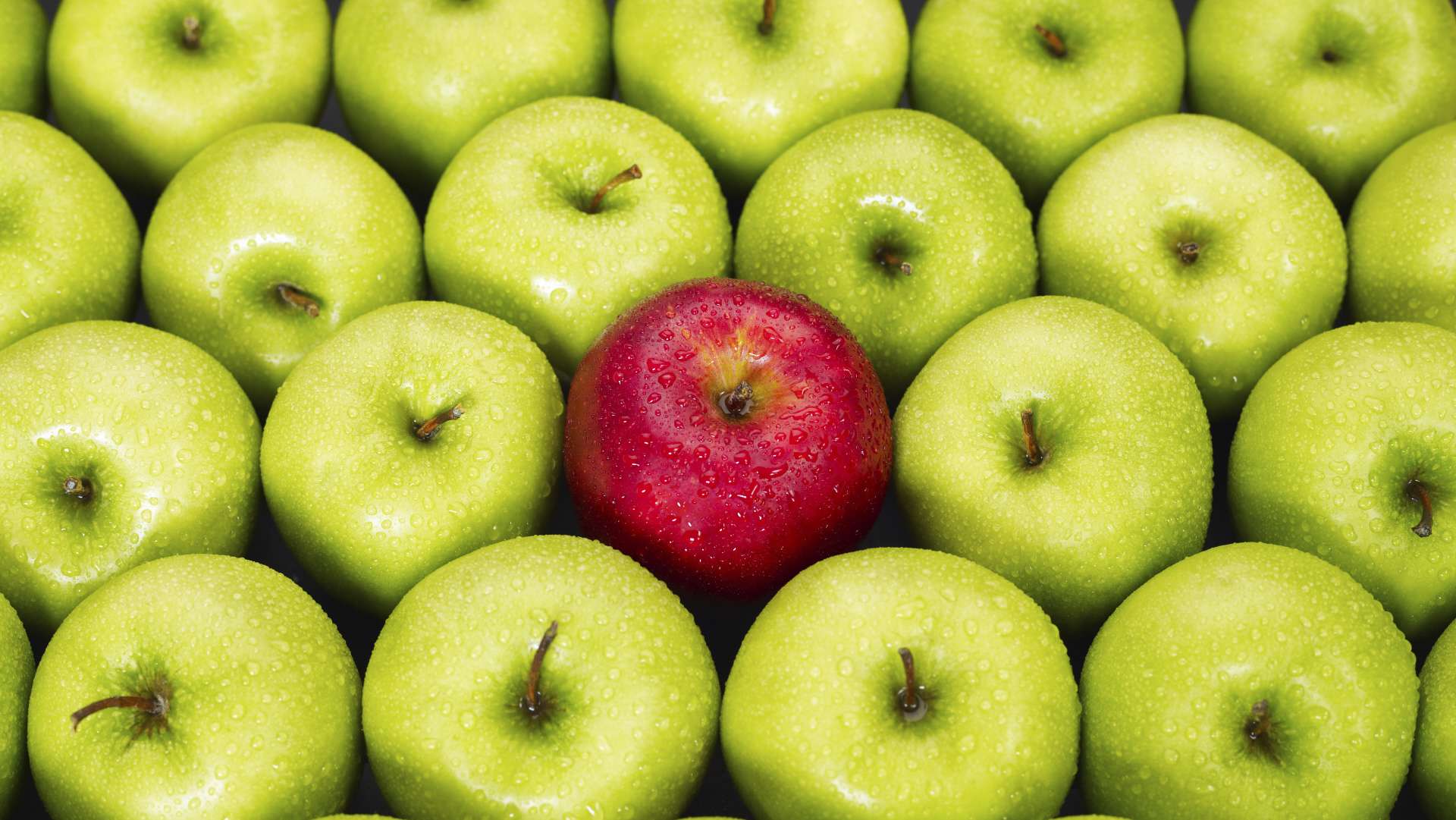 Tollers Solicitors | Legal firm in London