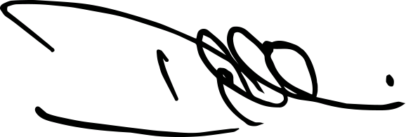 Duncan Nicholson signature