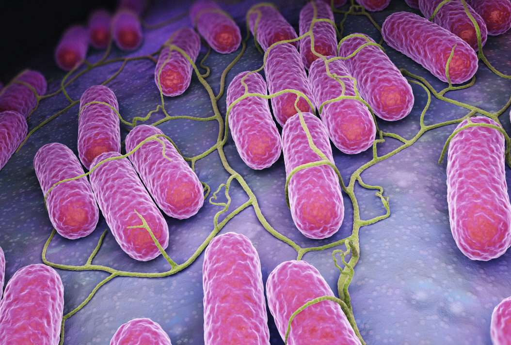 Food Poisoning Compensation Claims